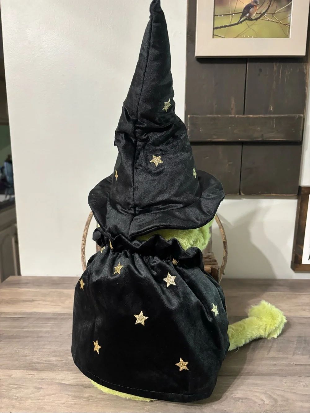 NEW VIRAL MOONLIGHT MANOR WIZARD FROG